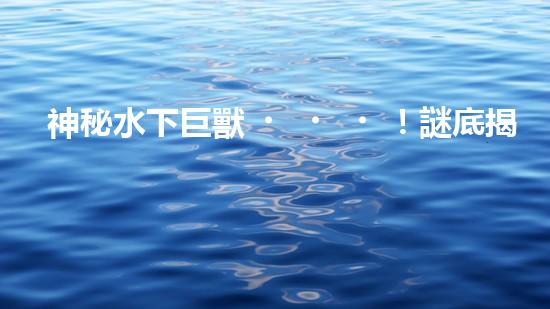 神秘水下巨獸！謎底揭曉，自動抽沙機器人能否拯救海洋？